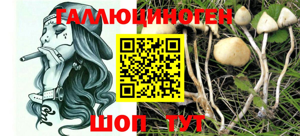Псилоцибиновые грибы Magic Shrooms Новодвинск