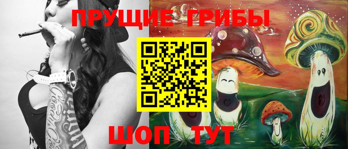 Новодвинск  Галлюциногенные грибы Psilocybine cubensis  Вход с VPN 