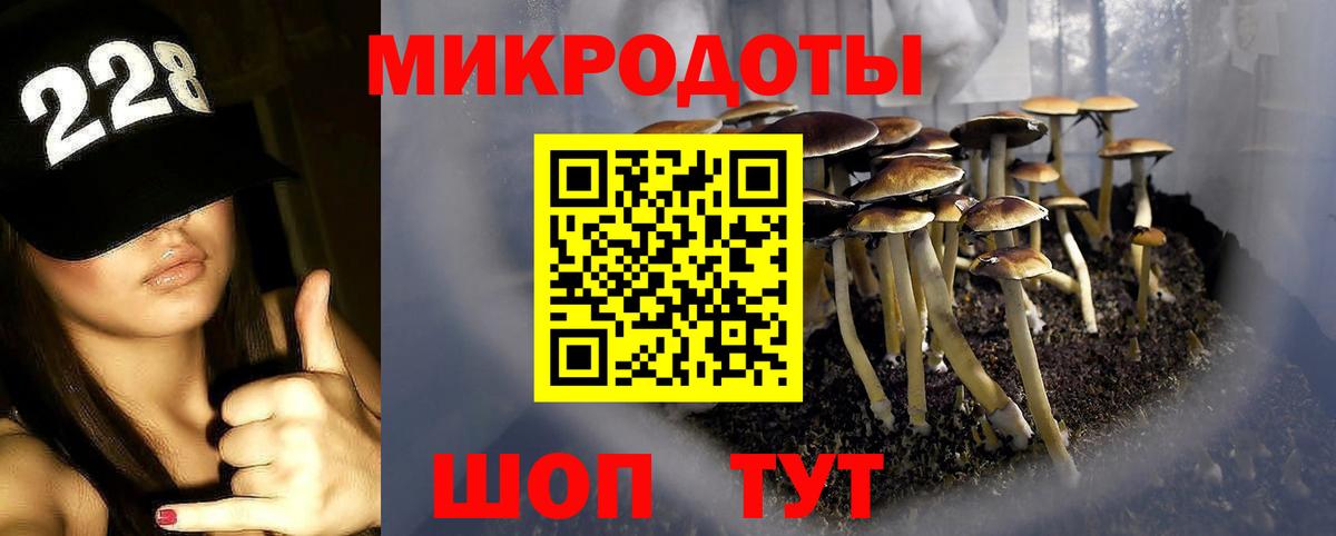 MDMA Новодвинск