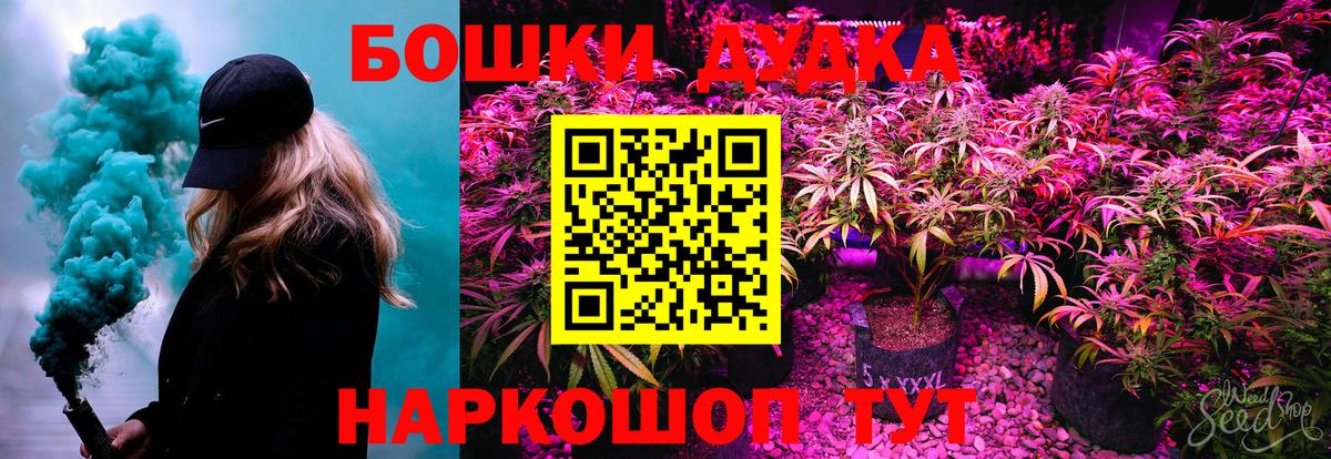 Бошки марихуана индика  Вход с VPN  Новодвинск  Шишки марихуана Bruce Banner  Конопля индика  Марихуана конопля 